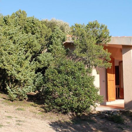 Rena Garden Apartments سانتا تيريزا غالّورا المظهر الخارجي الصورة