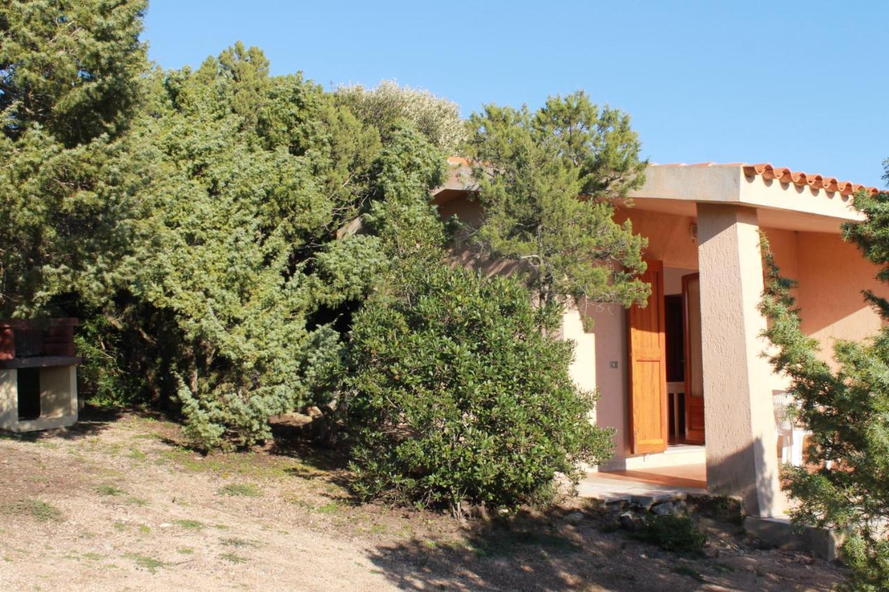 Rena Garden Apartments سانتا تيريزا غالّورا المظهر الخارجي الصورة